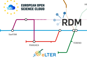 Symbolic RDM network